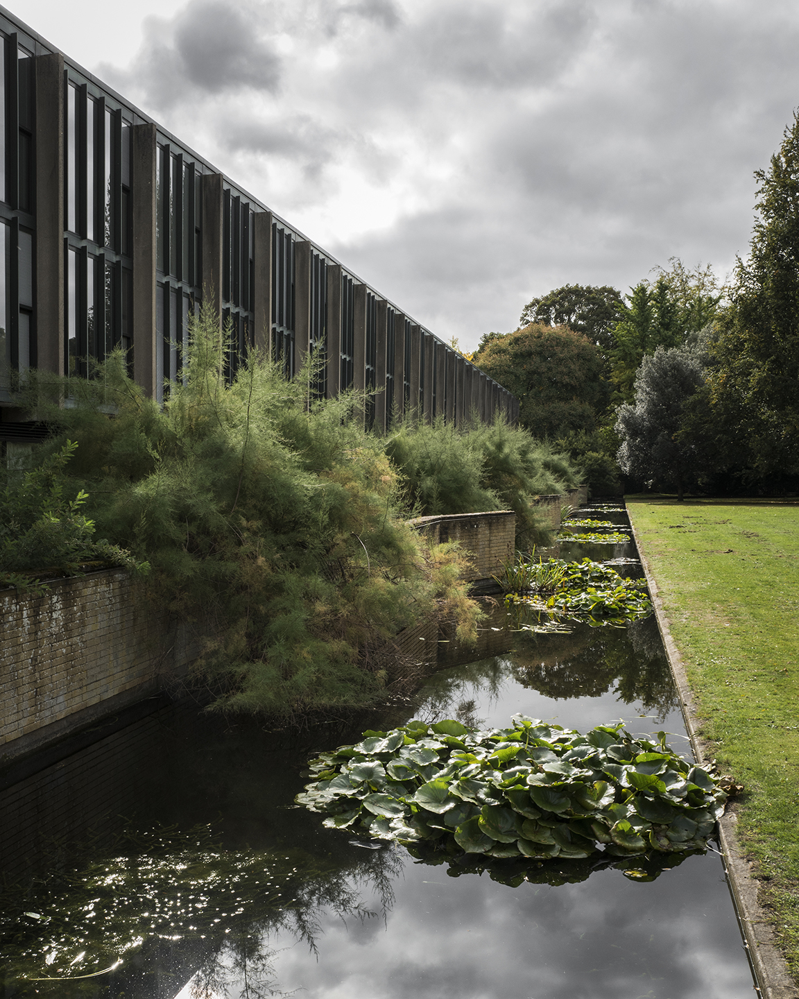 The gardens at St. Catherine's College, Oxford. Photo: Jonas Bjerre Poulsen / Norm Architects.